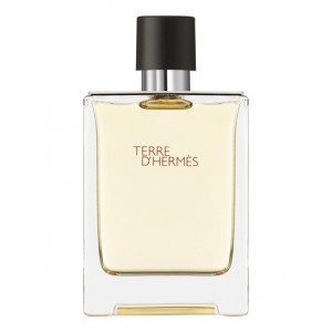 Hermès Terre d'Hermès EDT 100 ml