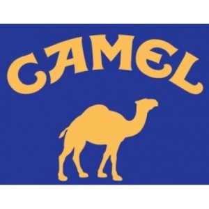 Camel Filter