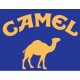 Camel Filter