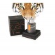 Uermi WE TWEED EDP 100Ml By Jean Jacques